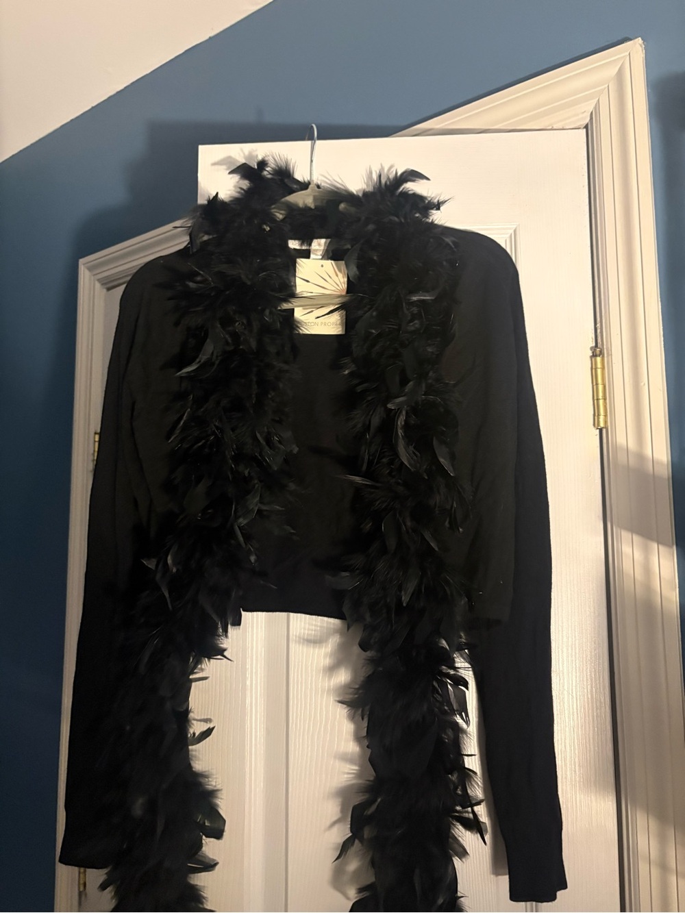 Boston Proper Black Feather-Trim Cropped Shrug